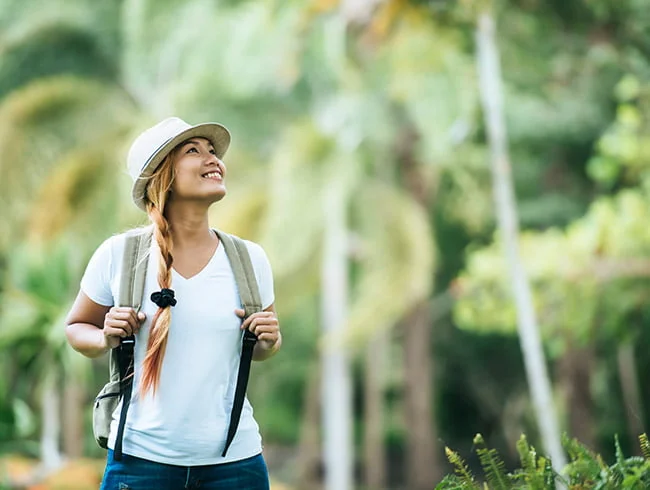 Diplomado virtuales gratis Gerencia felicidad